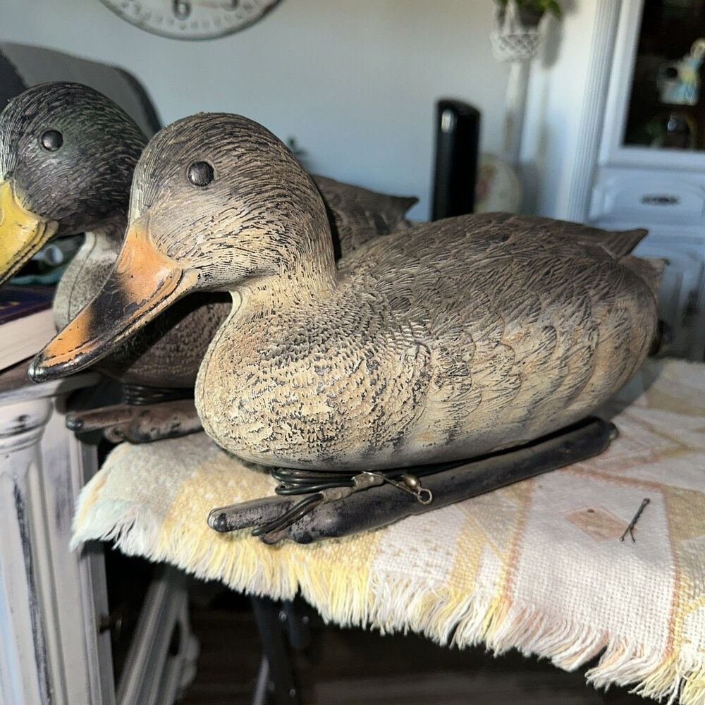 Duck Decoys - Picture 3 of 5